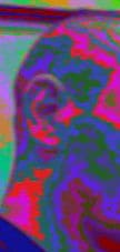 PIP-Camera-2