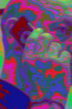 PIP-Camera-3