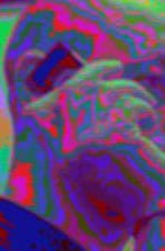 PIP-Camera-4
