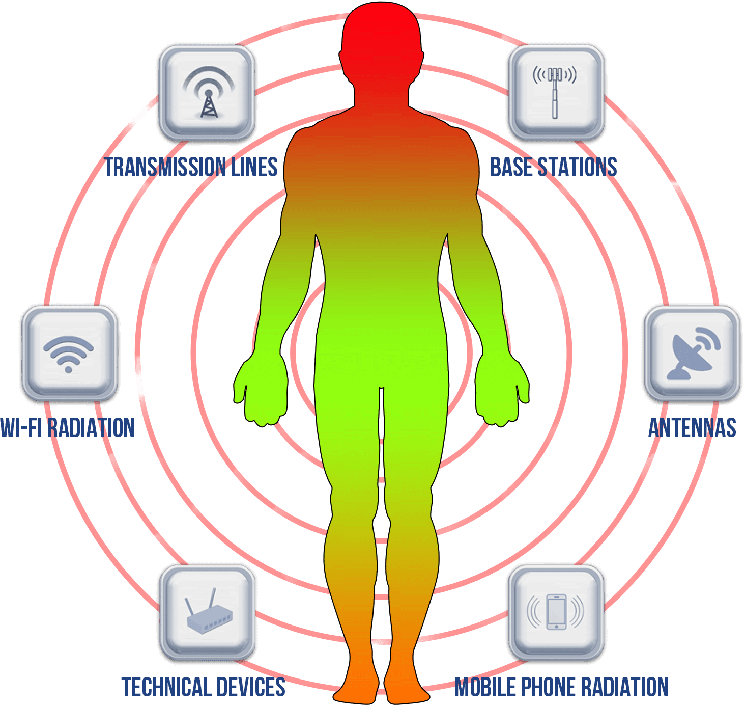 Pozitron-Plus-Radiation-Impact-on-Human-Health