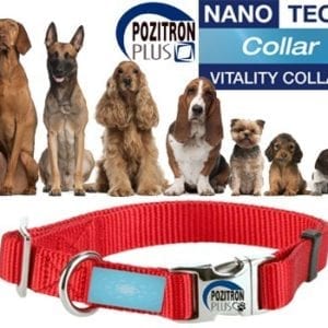 Pozitron Plus Dog Protect